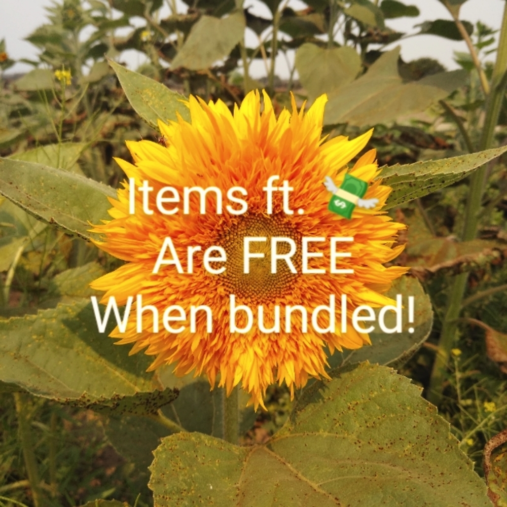 💸 = 🆓 to Bundle!